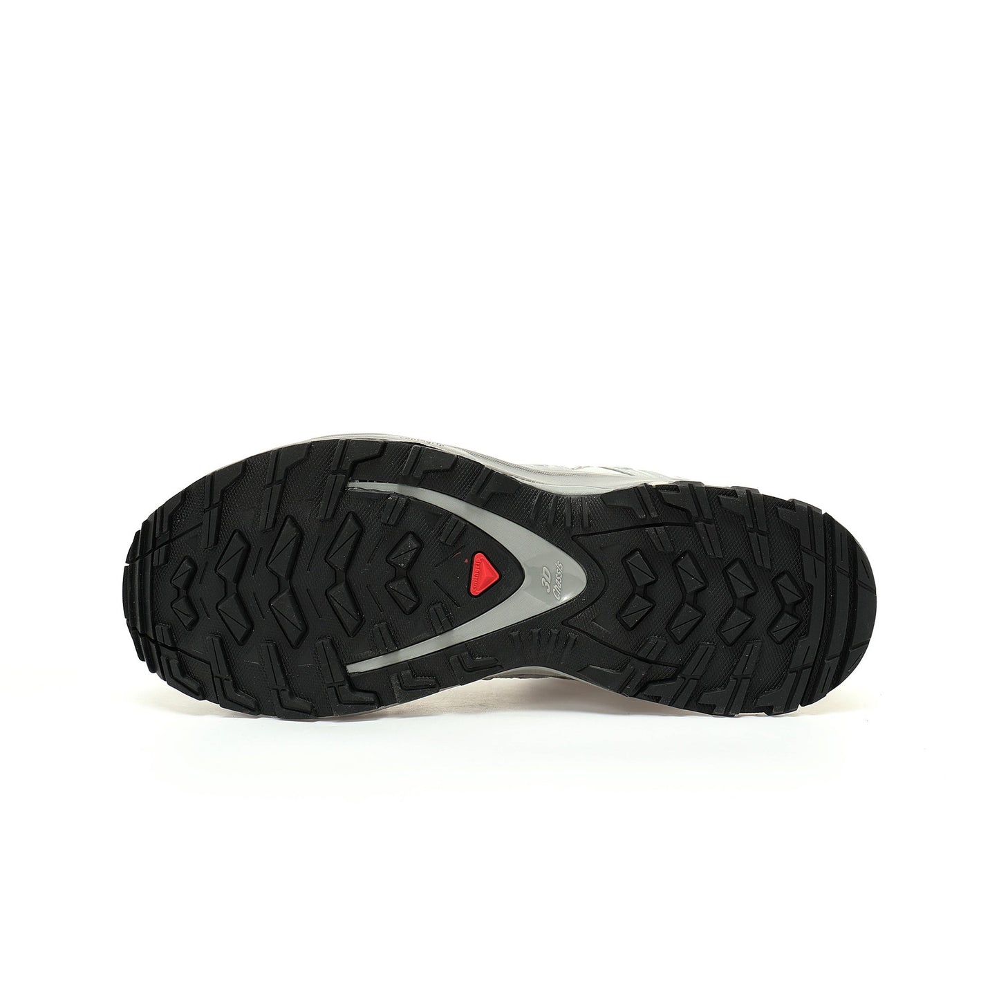 SALOMON XA PRO 3D GTX   Silver/Grey